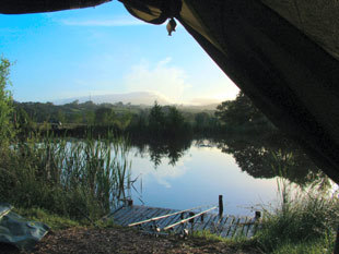 eisteddfa fishery